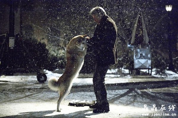 忠犬八公的故事 忠犬八公的故事