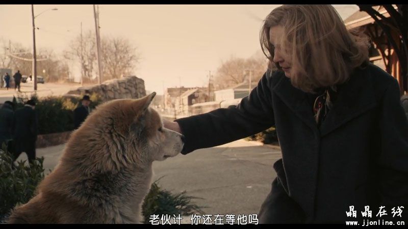 忠犬八公的故事 忠犬八公的故事