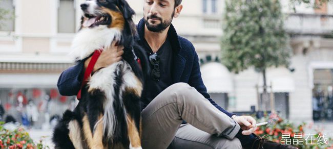狗真的会听懂人话 狗真的会听懂人话