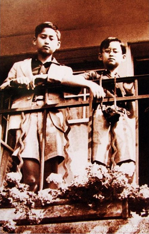 右侧幼年普密蓬 右侧幼年普密蓬