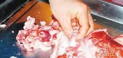 猪脖子里的肉疙瘩 猪脖子里的肉疙瘩